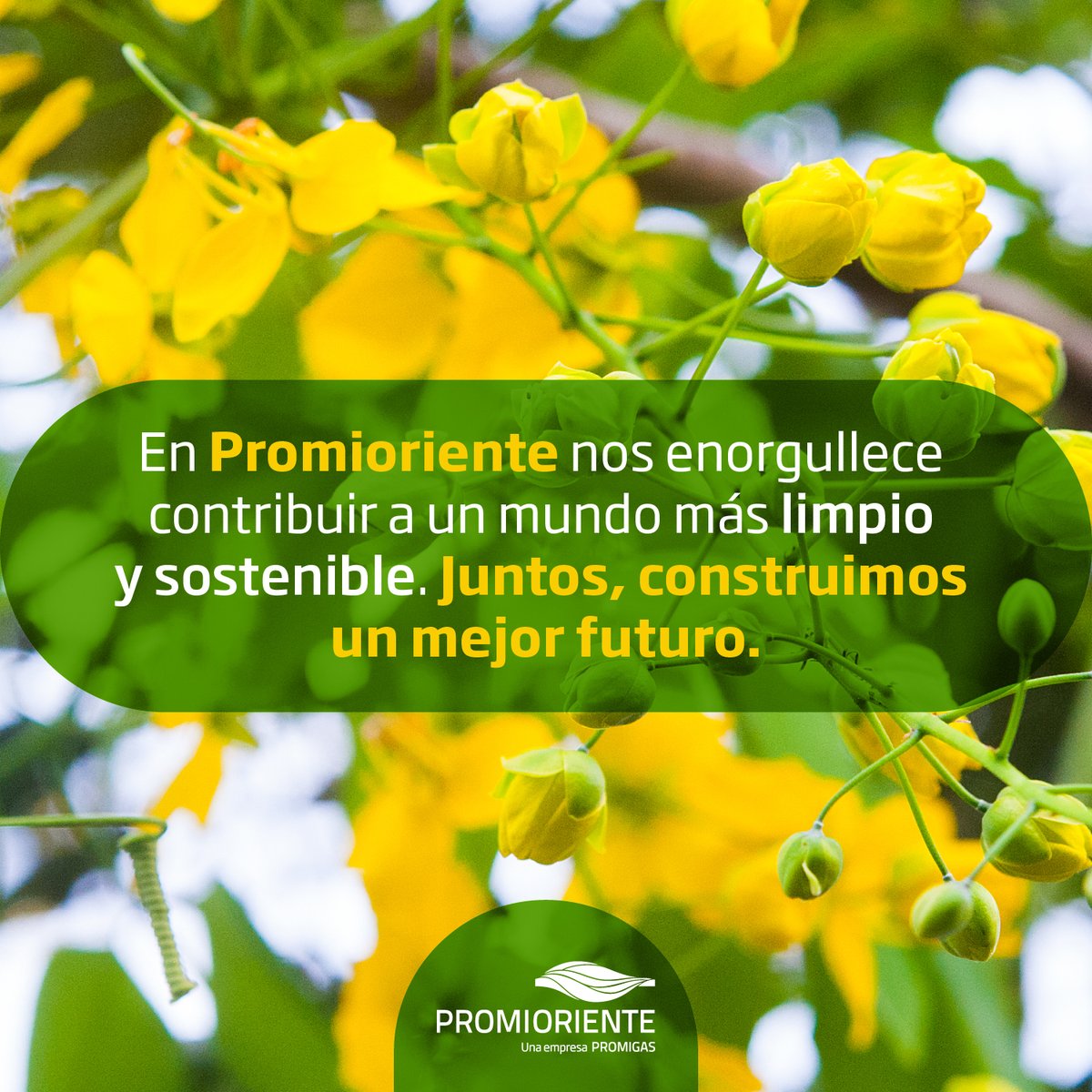 promioriente's tweet photo. Hoy, en el Día Mundial de la Ecología, celebramos nuestro compromiso con la sostenibilidad y el cuidado del planeta. El gas natural es una fuente de energía más limpia que respaldamos.
#Ecología #SostenibilidadAmbiental #GasNatural #Promioriente https://t.co/CSGjsSiIHe