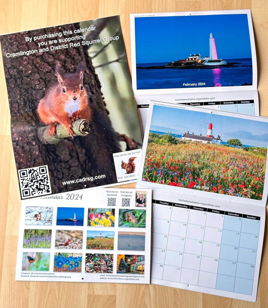 CramlingtonRed's tweet photo. November 🍂 🥶 Viewing Screens Sponsor

This month’s sponsor is Michelle K Williams a local photographer and supporter of our red squirrel conservation efforts. Michelle is available for photography tutoring workshops and photoshoots. Please see details below.

@mkwilliamsphoto https://t.co/DbZMa9c5pd