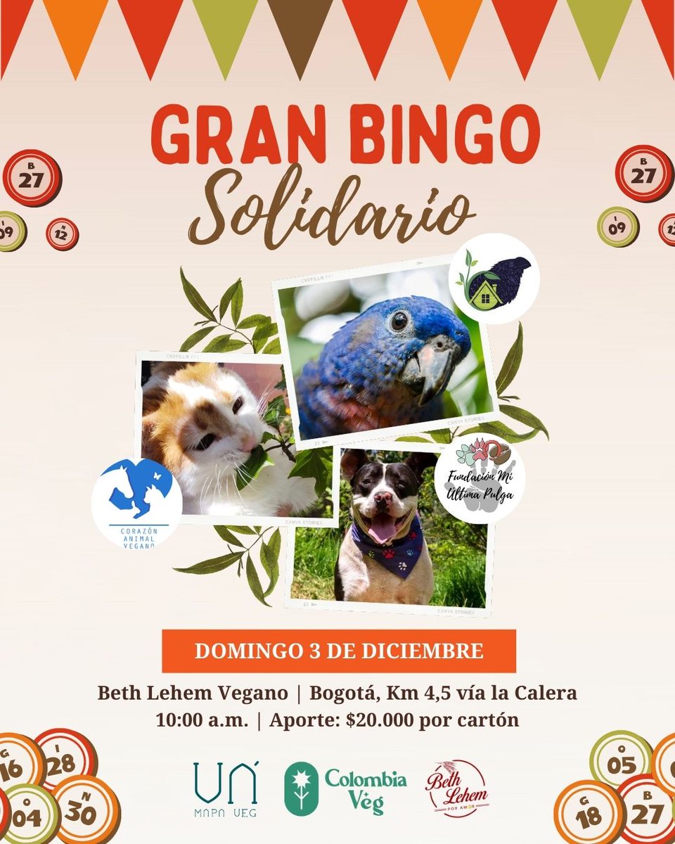 📣 Llega la Primera Edición del Gran Bingo Solidario 🎰🍀

📅 Domingo 3 de diciembre
⏰ 10:00 a.m.
📍 Km 4,5 vía la Calera. Barrio San Isidro Norte de Bogotá - Localidad Usaquén
🎟️ Aporte: 20k por cartón

🌱Más información aquí: fb.me/e/1wQX6GBhv🔥