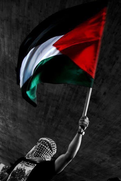 أنشرو علم فلسطين ❤️