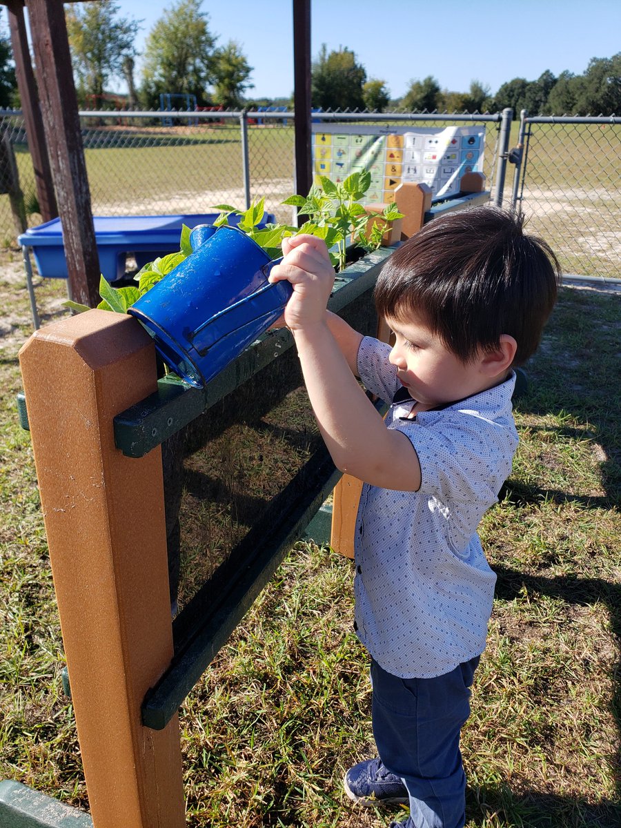 Even our youngest learners help take care of our class garden