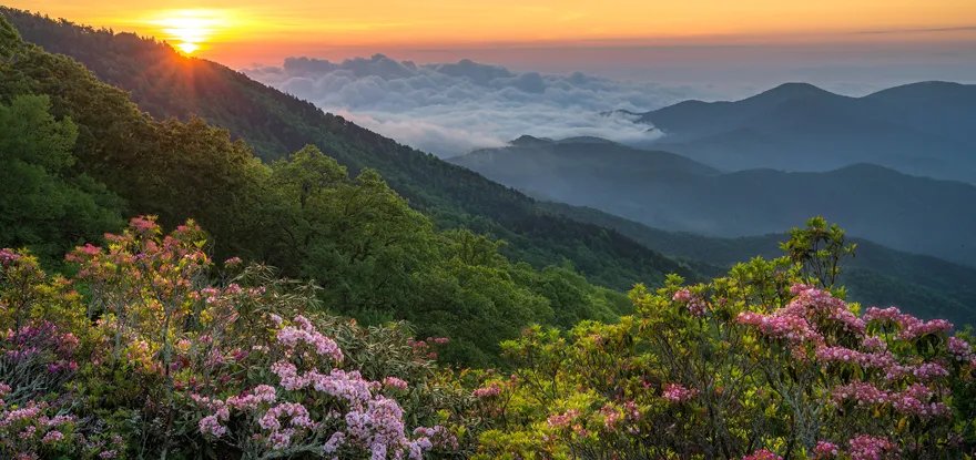 Bringing you the beauty of the outdoors, one post at a time. 📸🌲#OutdoorExcursions #OutdoorBliss #OutdoorTrips #OutdoorWorld #OutdoorEscape #NatureInspiration #OutdoorDiscovery #OutdoorWanderlust