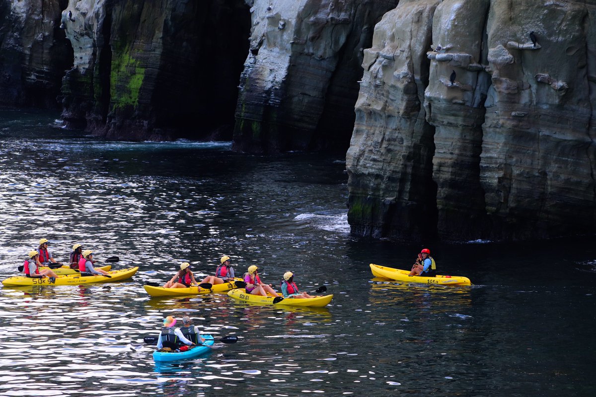 WILDCOAST's tweet photo. Great day w/ the @PatagoniaCardiff team in #Matlahuayl State Marine Conservation Area in #LaJolla: where culture and nature unite! This sanctuary protects cultural heritage and vital habitats for marine species like #leopardsharks, seals &amp; more! Thank you @SeaCaveKayaks!! https://t.co/dPD5scGLZW