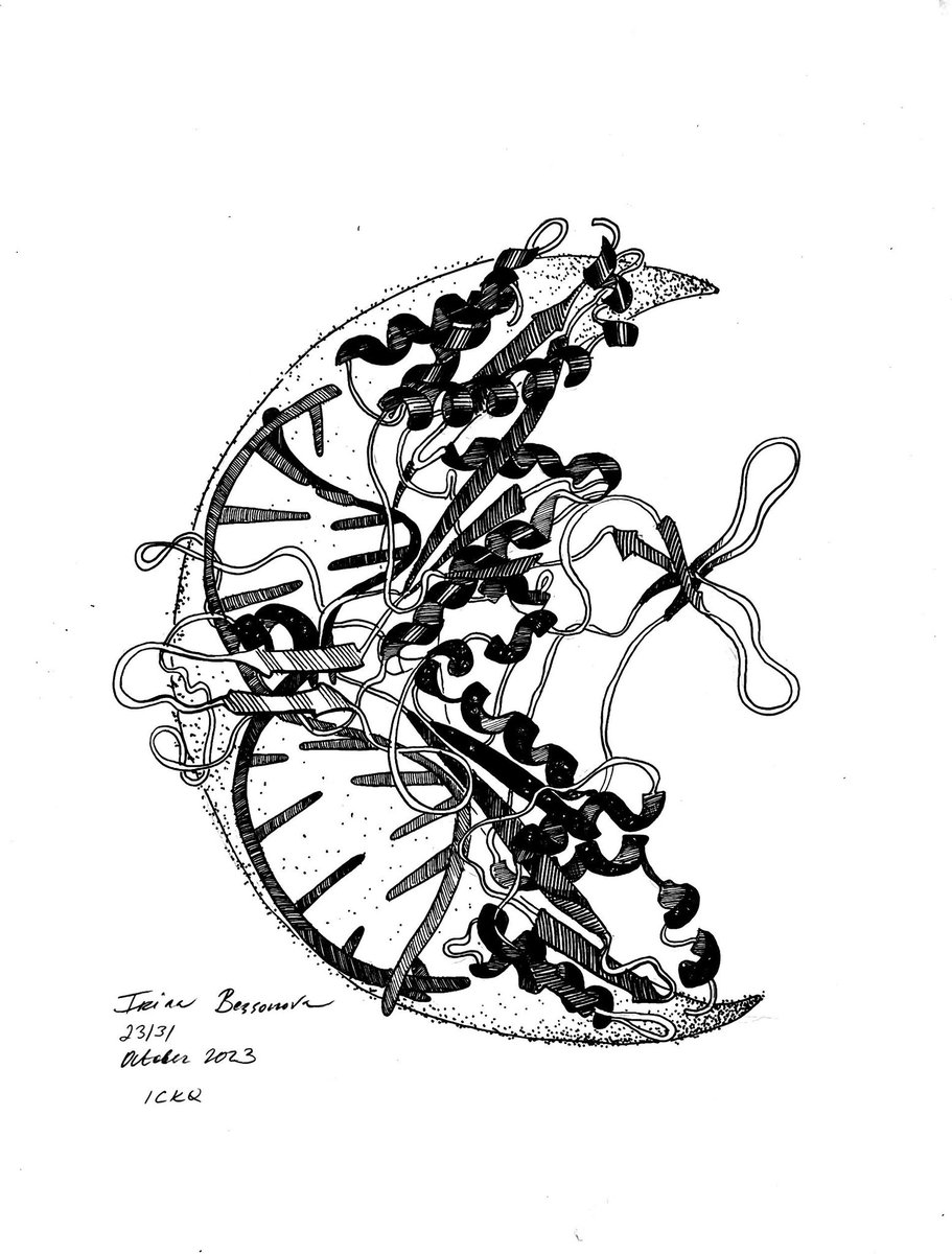 My protein-inspired #inktober2023 is finished. Here are a few of my personal favorites. If you enjoyed my artwork this month - leave me a comment.