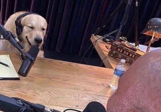 Doc Strangelove tweet media