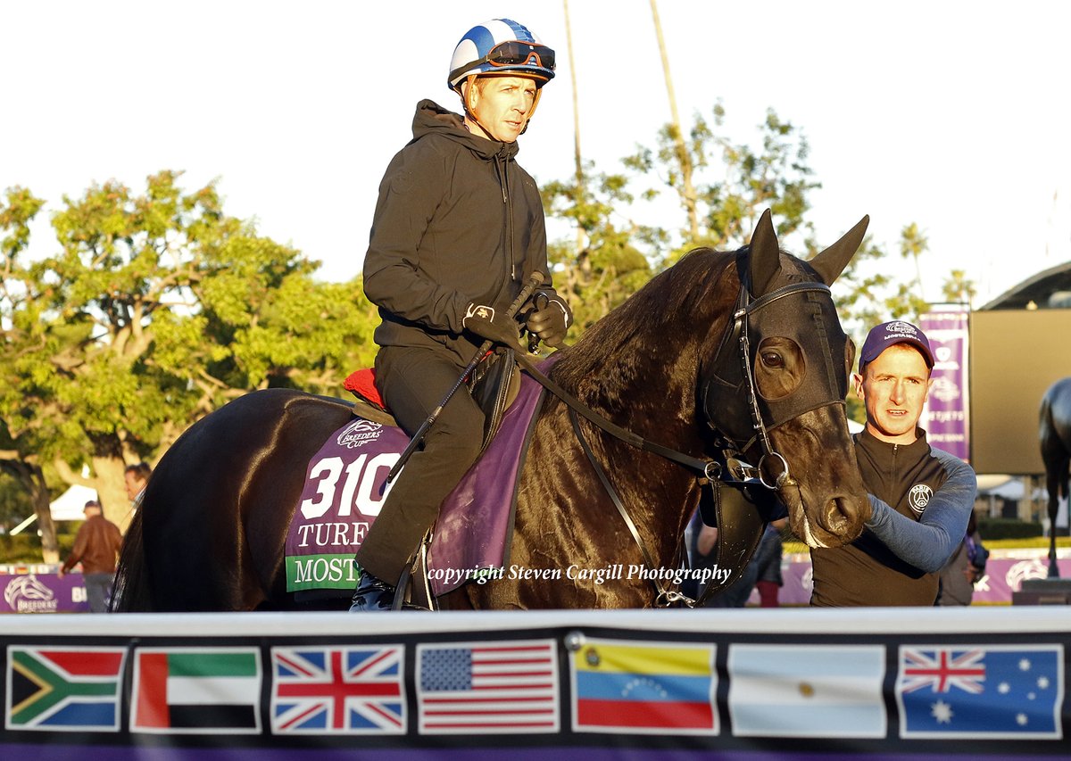 Steven Cargill (@steven_cargill) on Twitter photo MOSTAHDAF was having a great time <a href="/santaanitapark/">Santa Anita Park</a> with <a href="/JimCrowley1978/">Jim Crowley</a> on Wednesday for @ShadwellStud <a href="/BreedersCup/">Breeders' Cup</a> MOSTAHDAF was having a great time <a href="/santaanitapark/">Santa Anita Park</a> with <a href="/JimCrowley1978/">Jim Crowley</a> on Wednesday for @ShadwellStud <a href="/BreedersCup/">Breeders' Cup</a>