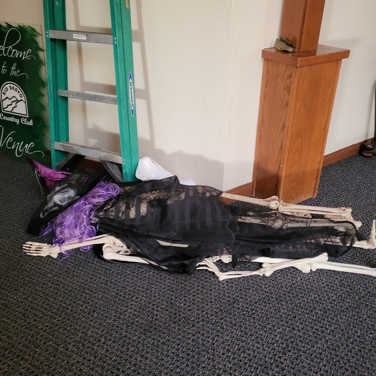 Not sure what to think walking in on this...I think the Witch made a few bad decisions last night...
#HalloweenHavoc2023