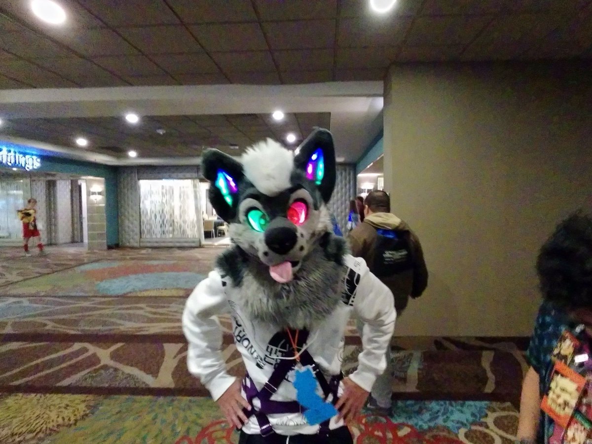 HarleySparklez's tweet photo. Fantastic Fursuits at BLFC! (Part 2) https://t.co/Pri70sBVco