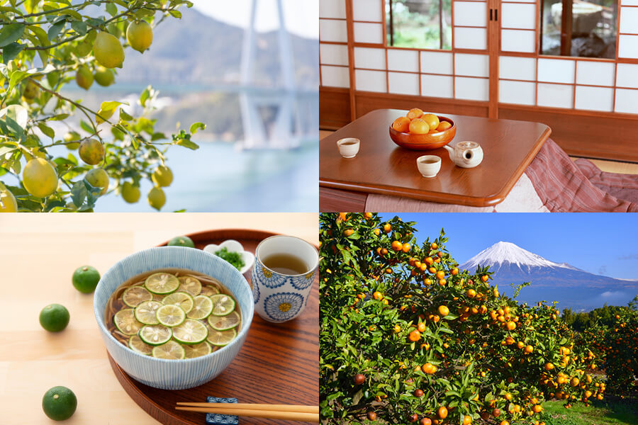 Web_Japan's tweet image. #Citrusfruits🍊 are one category of fruits that Japanese people love. People eat them just as is or use flesh or peels when cooking to add accents😋 #Yuzu is famous for its distinctive aroma, but there are more! Find out the popular kinds here👉
web-japan.org/trends/11_food…