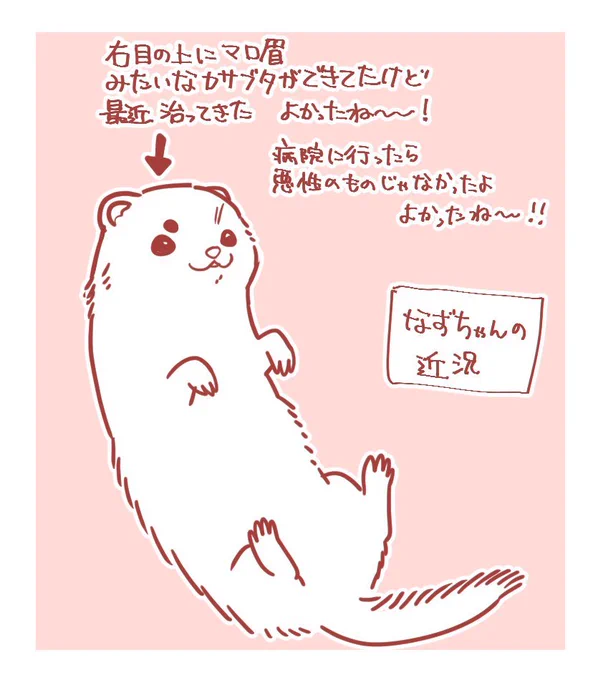 なずちゃんの近況 