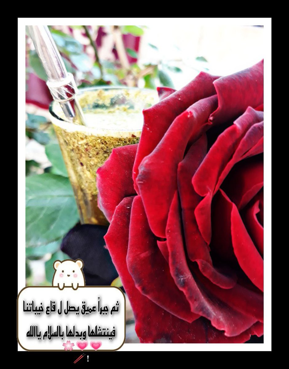 بُـسطاء تُـسعدنا كاسة " متة " 💙
#صباح_الخير