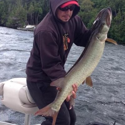 Muskybugged's tweet photo. #NewProfilePic https://t.co/uTmQXjp3kk