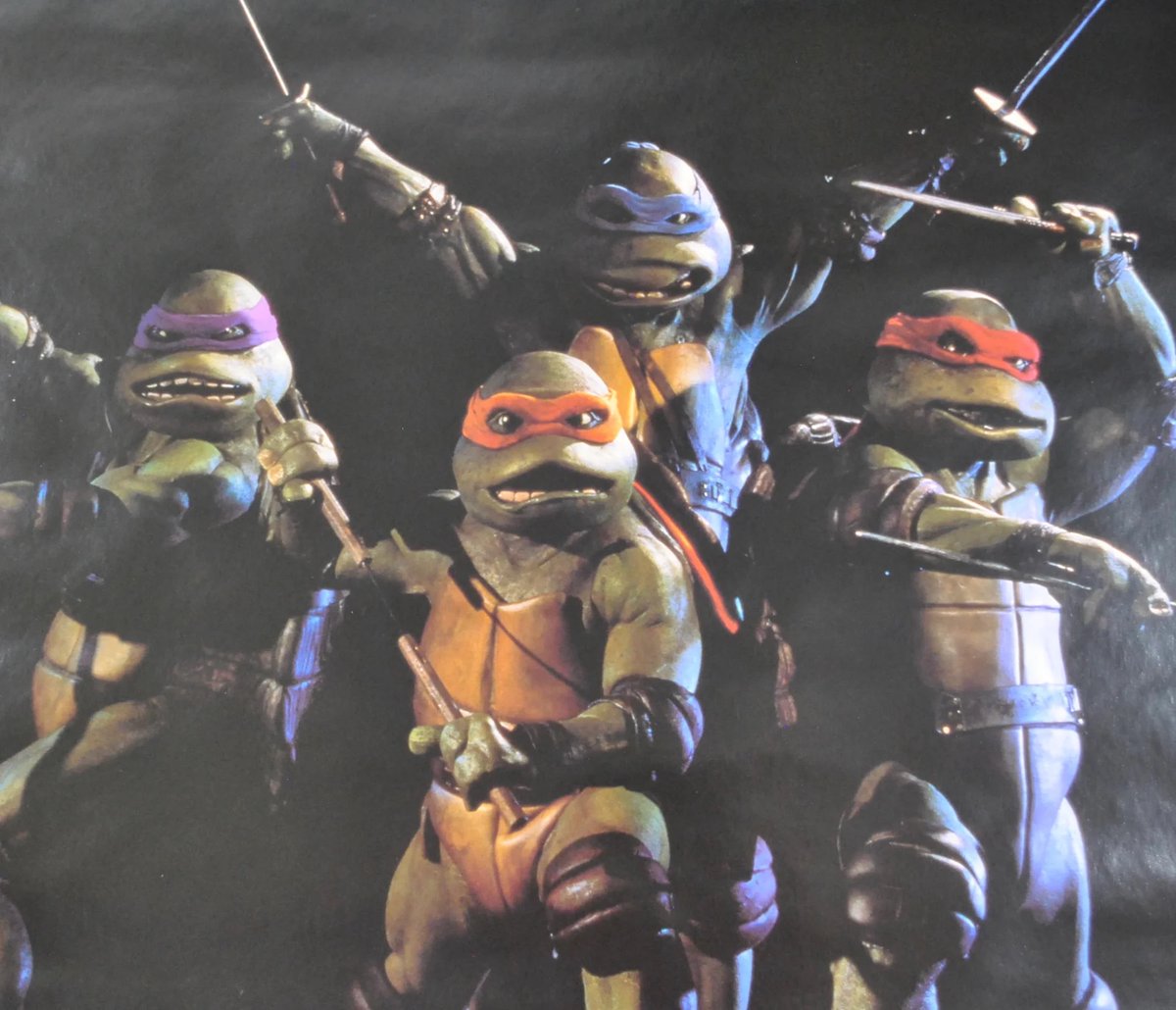 dieworkwear's tweet photo. @infinitywaltz in 1993 (before seed oils) every turtle looked like this https://t.co/IvaOwVEzpx