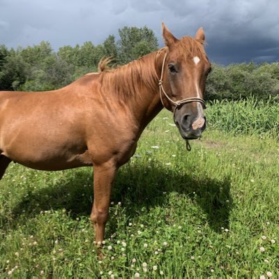 Fudomatic's tweet image. #NewProfilePic