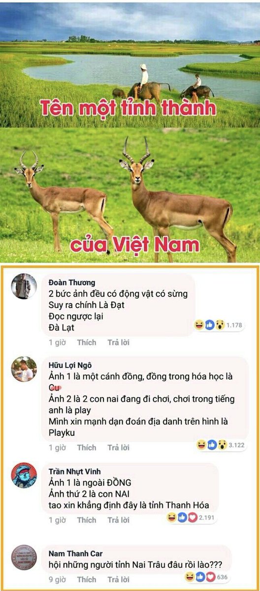 Tất chéo cả nhà ơi.hứa trả đủ ạ
#cheouytin #CHEO #funniest #haihuoc