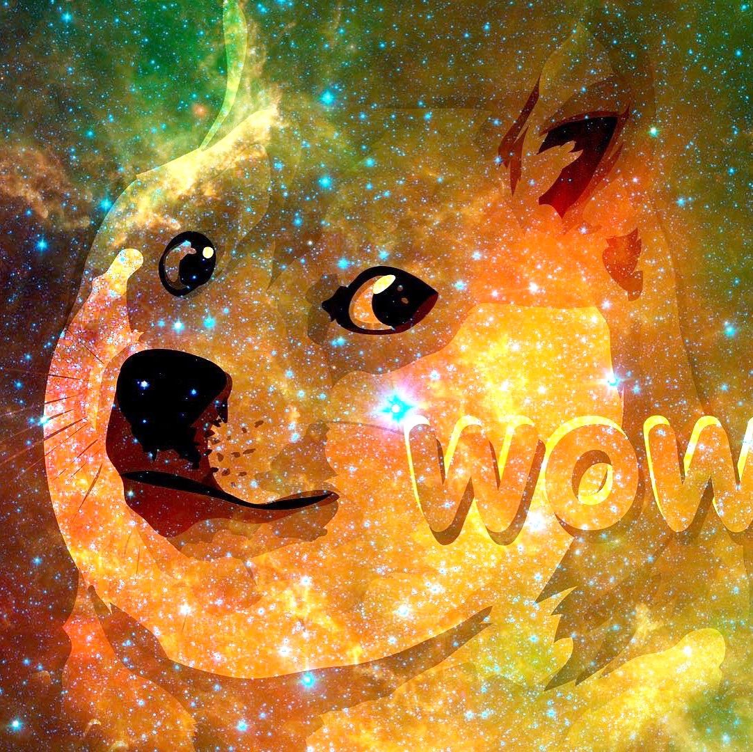 Much Wow #doge