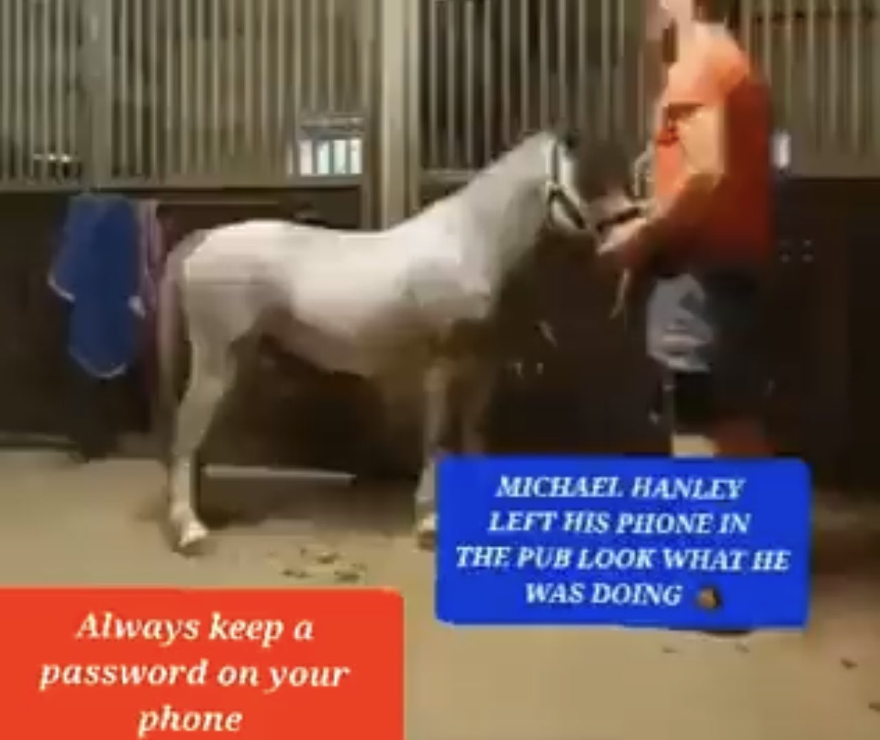Peter Dredd on X: Viral video of a horse f*cking a man causes stir on X 😳  🤮🤮 Check comments for video t.coodnfpl0rbp  X