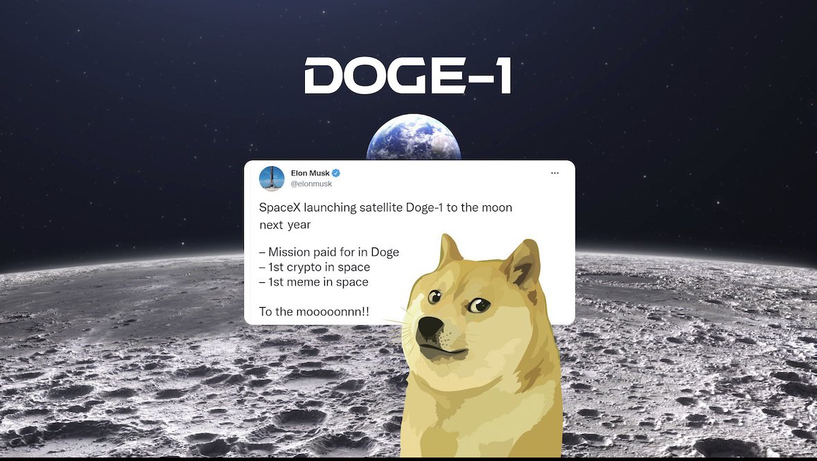 This will happen 1 day #doge