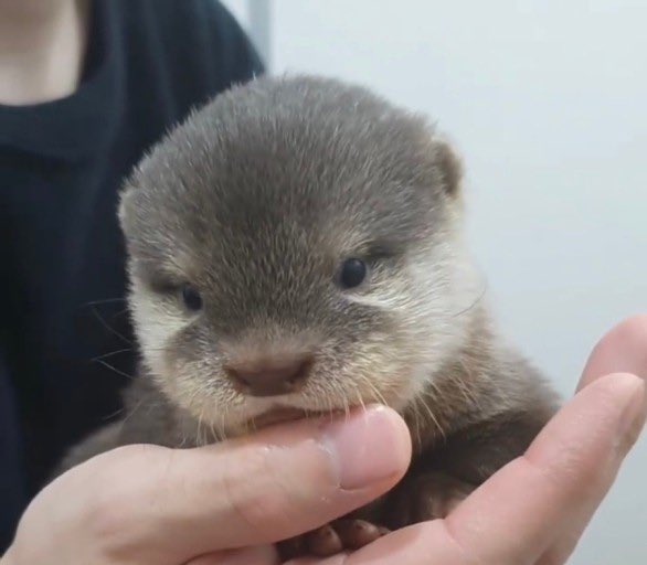 🥹🥹🥹🥹🥹🥹🥹🥹🥹