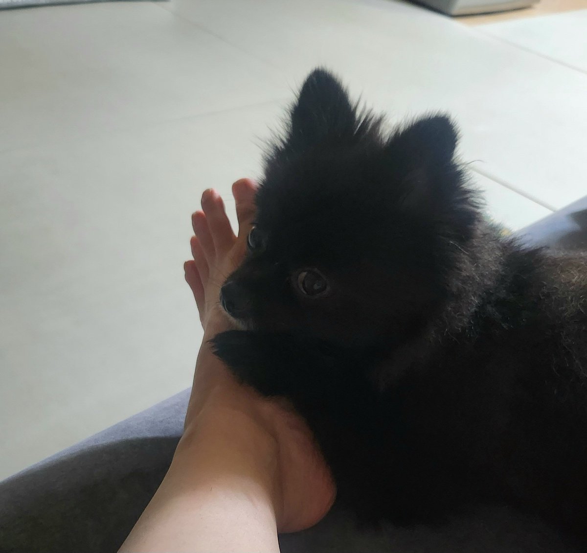 이거 너무 귀엽다 발에 쥐가나도
귀여운거 못참지