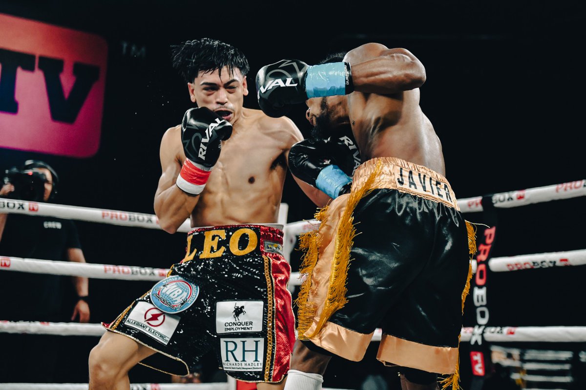 ProBoxTvEspanol's tweet photo. GUERRAS DE MIÉRCOLES POR LA NOCHE ☑️
 
Angelo Leo y Nicolás Polanco van a la guerra en ProBox TV 👊
 
Más por venir, sintonízate ahora   ❗

#MiércolesdePeleas #ProBoxTV #NochedeBoxeo #BoxeoEnVivo #Boxeo #PróximaPelea #bocachicavspalmetta #chrisalgieri #pauliemalignaggi https://t.co/tGk9UB8Qw7