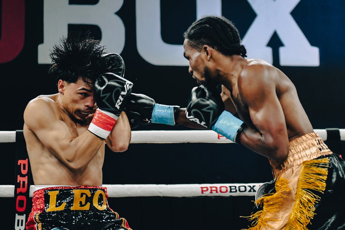 ProBoxTvEspanol's tweet photo. GUERRAS DE MIÉRCOLES POR LA NOCHE ☑️
 
Angelo Leo y Nicolás Polanco van a la guerra en ProBox TV 👊
 
Más por venir, sintonízate ahora   ❗

#MiércolesdePeleas #ProBoxTV #NochedeBoxeo #BoxeoEnVivo #Boxeo #PróximaPelea #bocachicavspalmetta #chrisalgieri #pauliemalignaggi https://t.co/tGk9UB8Qw7