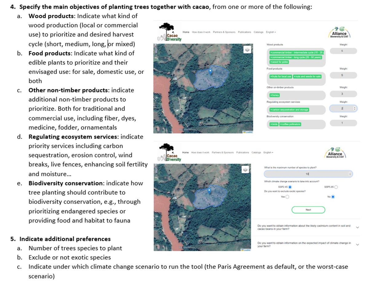 evert thomas tweet media