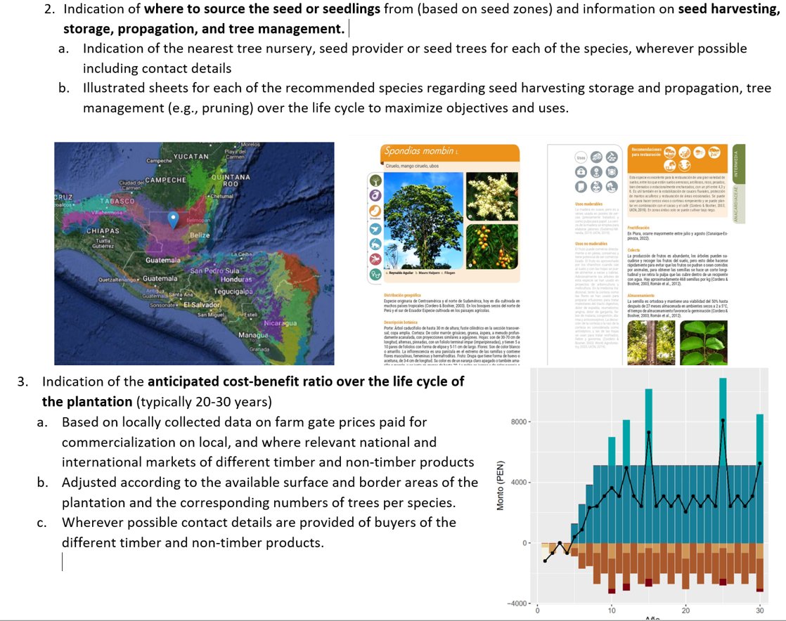 evert thomas tweet media