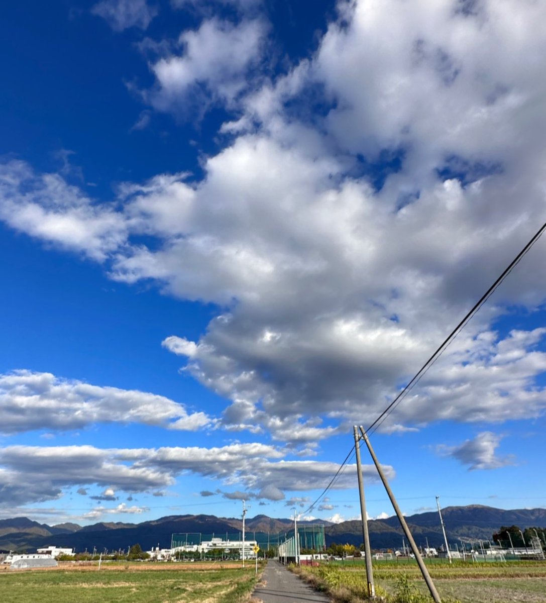 mapiotyo1129's tweet photo. おはようこざいます！
本日も晴れていて、とてもいい天気です！
11月なのに暖かい✨
 #おは戦
 #企業公式が朝の挨拶を言い合う 
 #企業公式秋のフォロー祭 https://t.co/Dlkvbblvay