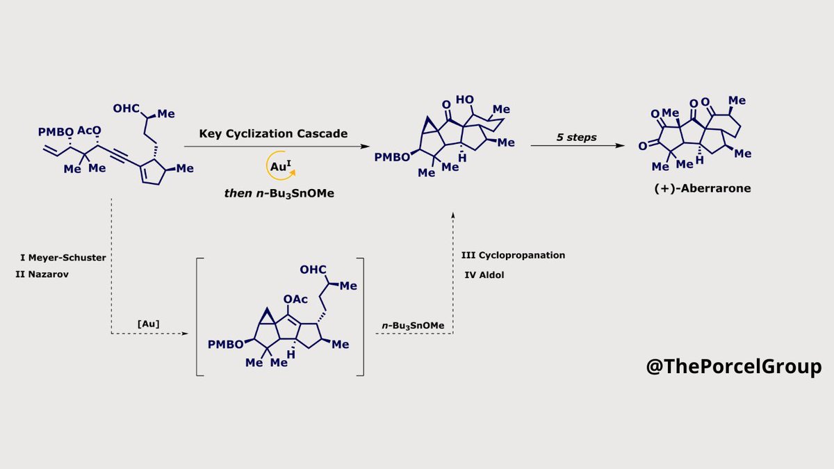 Porcel Group (@theporcelgroup) on Twitter photo Hi there! Better late than never. Here is our selected paper on Wednesday of #GoldChemistry. With this clever cyclization, the <a href="/CarreiraGroup/">CarreiraGroup</a> achieved the total synthesis of (+)-Aberrarone in 15 steps.
Check out the paper here: pubs.acs.org/doi/10.1021/ja…
#goldcatalysis Hi there! Better late than never. Here is our selected paper on Wednesday of #GoldChemistry. With this clever cyclization, the <a href="/CarreiraGroup/">CarreiraGroup</a> achieved the total synthesis of (+)-Aberrarone in 15 steps.
Check out the paper here: pubs.acs.org/doi/10.1021/ja…
#goldcatalysis