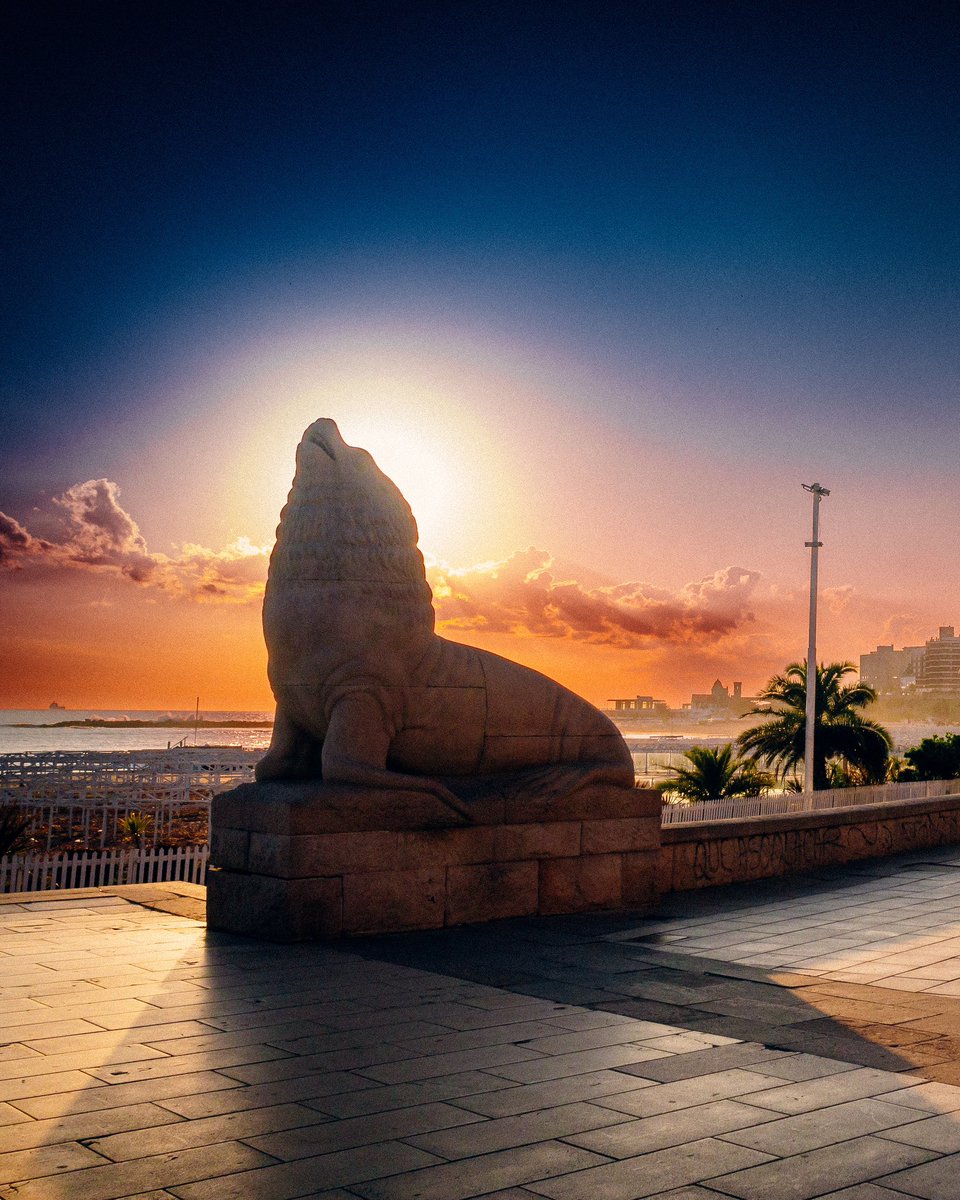 Juanchi Ugalde tweet media