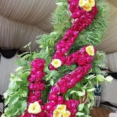 miusiris's tweet image. Money can be a means to achieve financial independence.