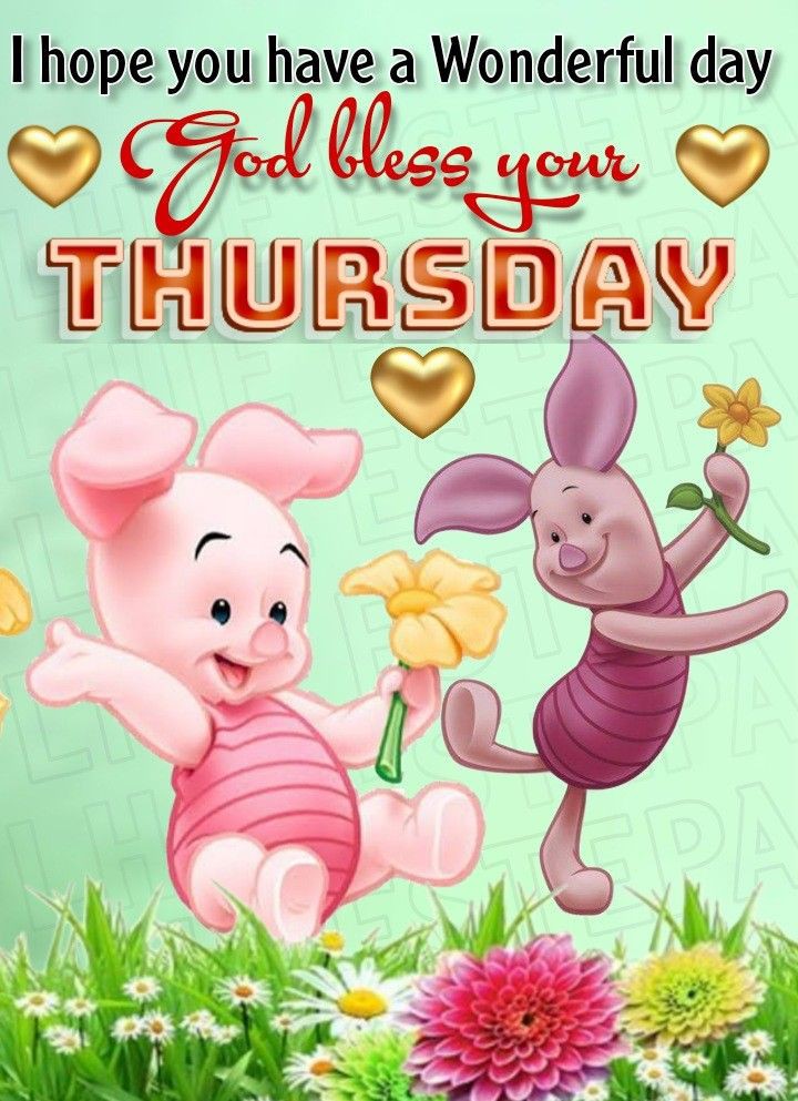 JeanVocalist's tweet photo. Philippines
2 November, 2023
Thursday, 9:25am
Have a happy and wonderful day! Love and hugs to all my wonderful Twitter friends 🩷🩷🩷 https://t.co/hMf5f5ebCE