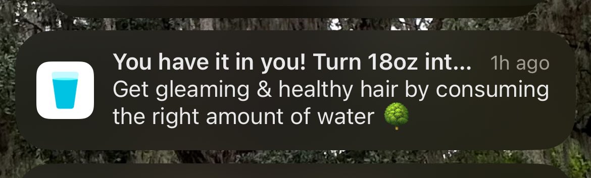 Jayson Whelpley tweet media