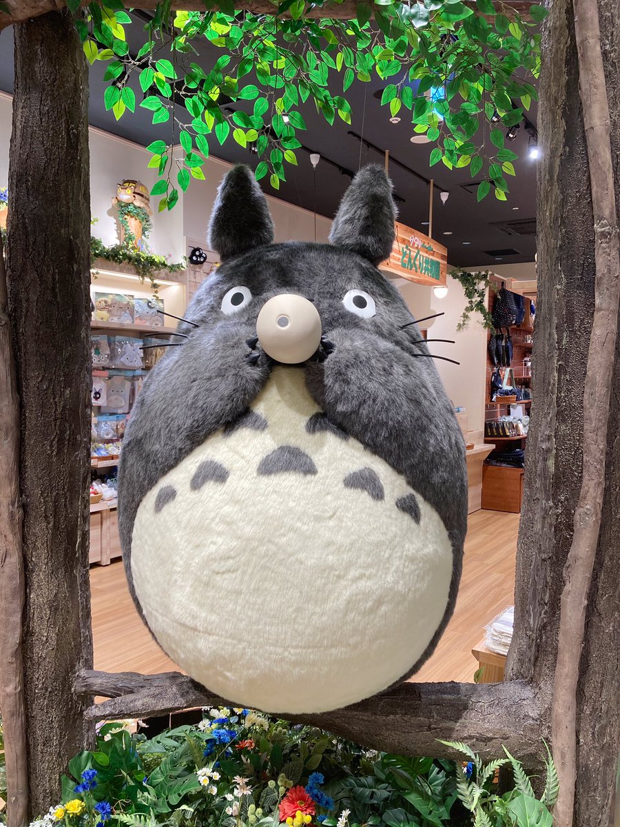 ⭐️OPEN⭐️ ラゾーナ川崎プラザ店 オープンいたしました✨🌳 トトロ