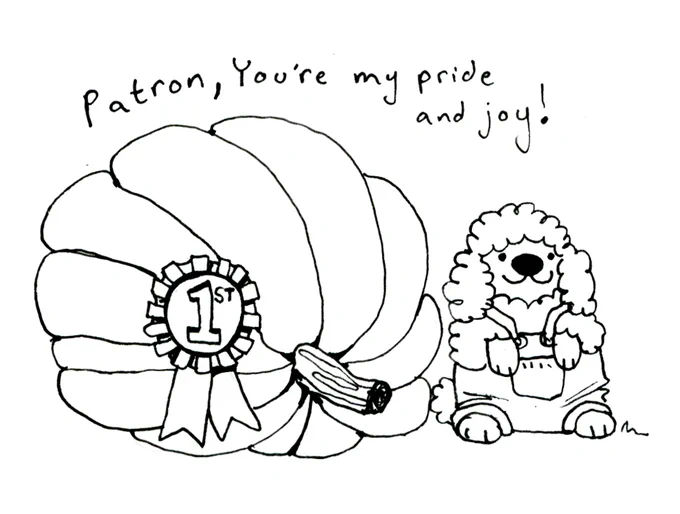 Usually I don't share but october's was definitely the best poodlewool wooly poodle doodle ever 