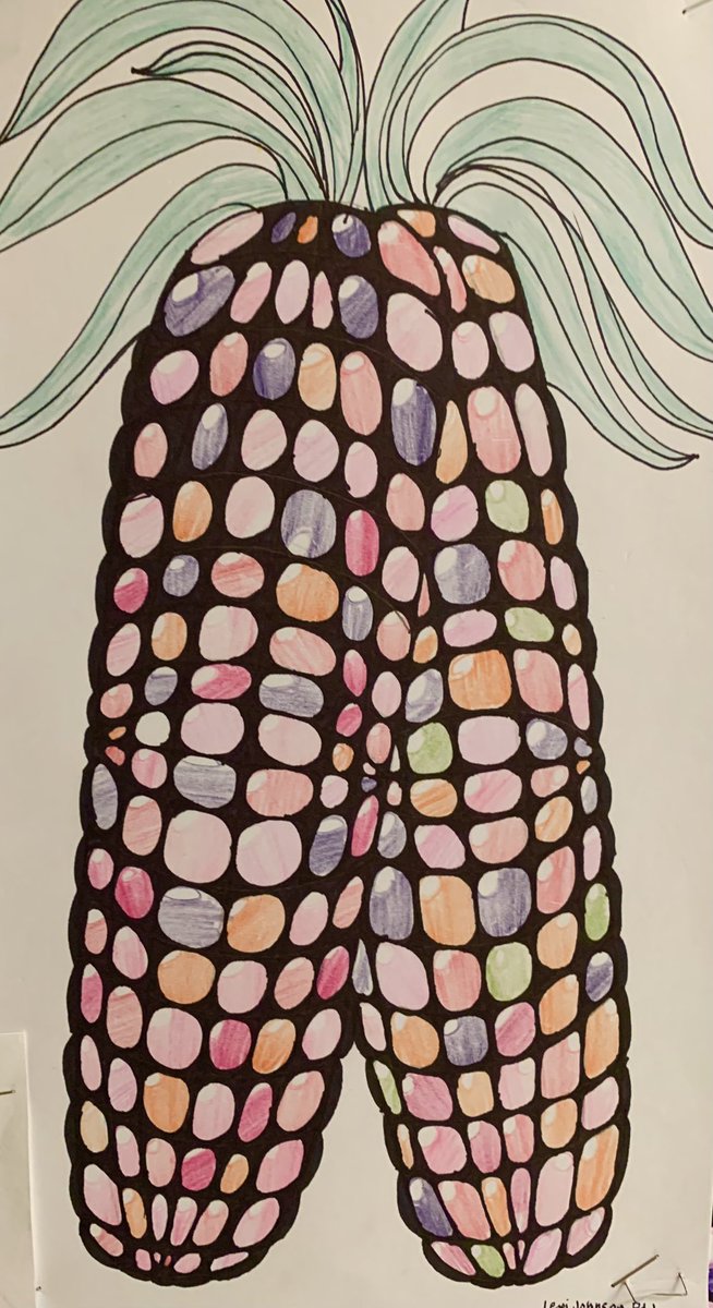 Calico Corn drawn and shaded carefully by 8th grade- super work by Steven B, Kerri M., and Lexi J! <a href="/PennDelco/">Penn-Delco SD</a> <a href="/NMSViking/">Mr. Buterbaugh NMS</a> @MrsGordon_ART <a href="/pdsdsuper/">Dr.George Steinhoff</a>