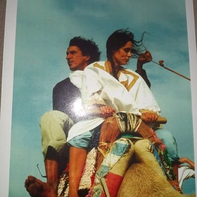 ceyda altın tweet media