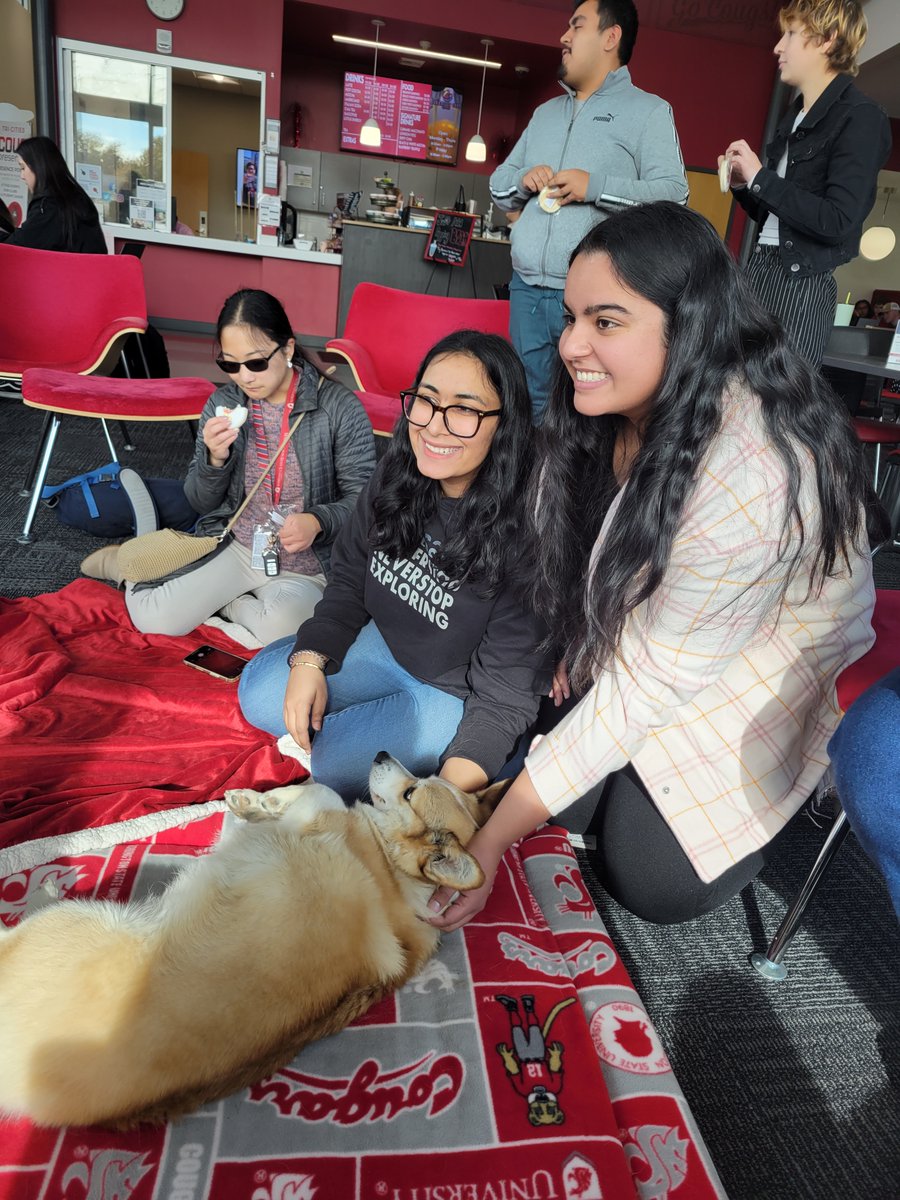 Dr. Noel Schulz tweet media