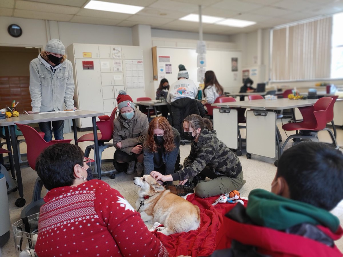 Dr. Noel Schulz tweet media