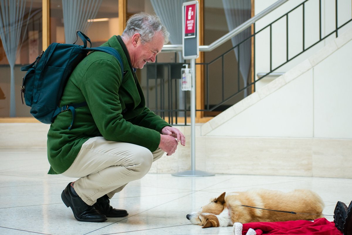 Dr. Noel Schulz tweet media