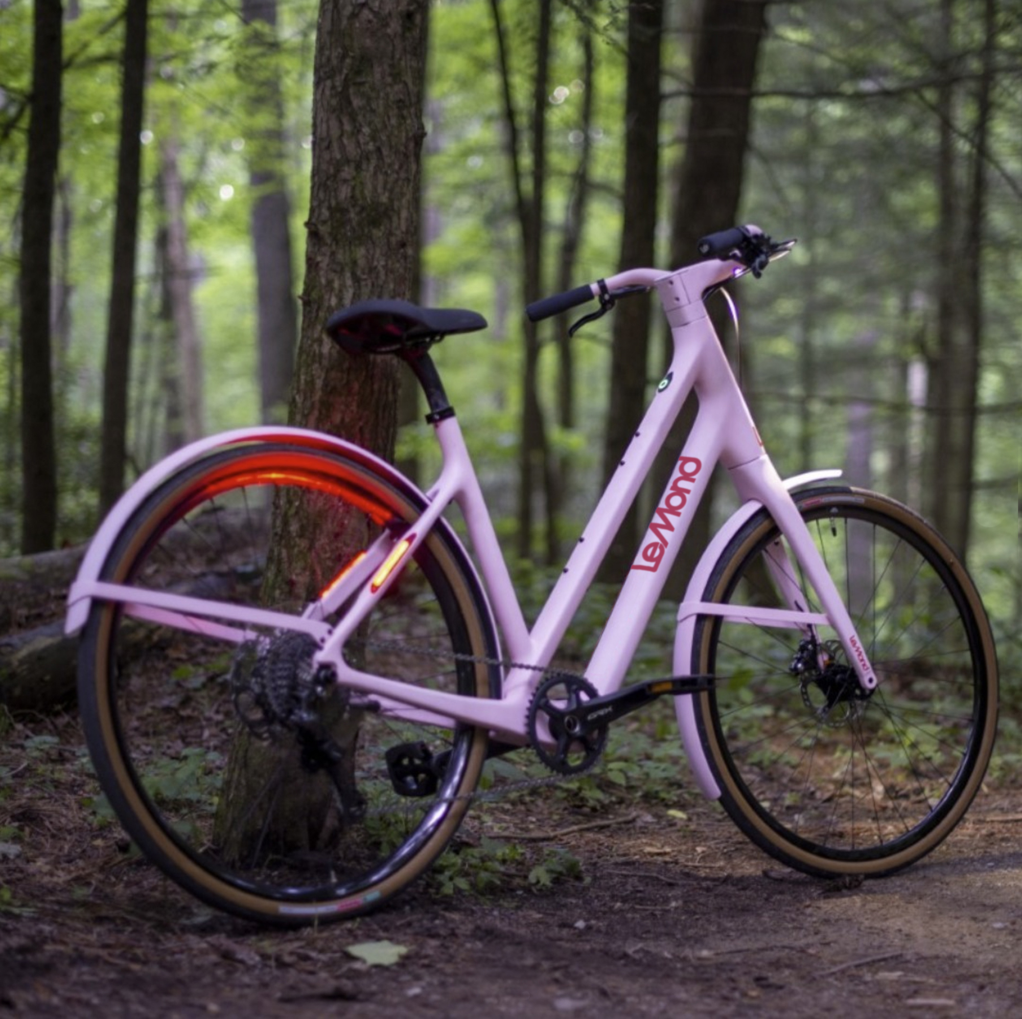 Lemond dutch sale