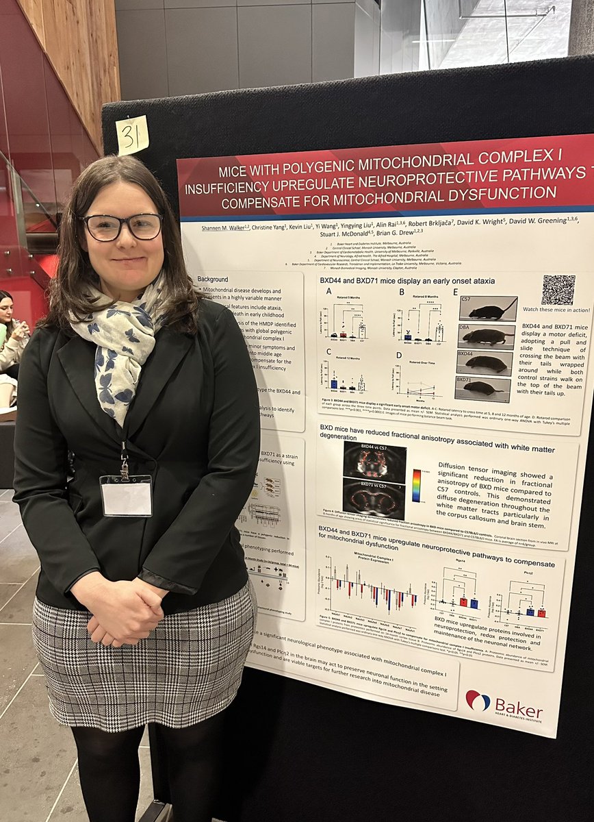 The Australian Society for Medical Research (ASMR) (@theasmr1) on Twitter photo Shannen Walker <a href="/Shannenwalker7/">Shannen_walker</a>
of <a href="/BakerResearchAu/">Baker Institute</a> presents her data on mice with a mitochondrial deficiency (which in humans is severely life limiting), identifying several potential pathways that can be modulated in redox and neuro protective pathways Shannen Walker <a href="/Shannenwalker7/">Shannen_walker</a>
of <a href="/BakerResearchAu/">Baker Institute</a> presents her data on mice with a mitochondrial deficiency (which in humans is severely life limiting), identifying several potential pathways that can be modulated in redox and neuro protective pathways