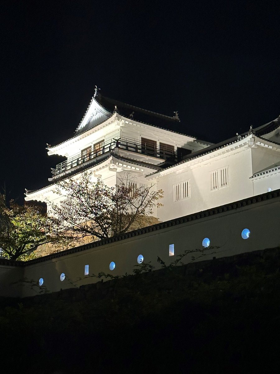 BichuBingoDenim's tweet image. 【福山城狭間もデニムカラーに！？】
デニム着用月間に併せて，福山城本丸・二之丸土塀の狭間をデニムカラー（藍色）にライトアップしています！ぜひご覧ください。
期間：２０２３年（令和５年）１１月１日（水）～１１月８日（水）
※日没から２４時まで

#福山はデニムの産地
#11月1日はいい藍の日