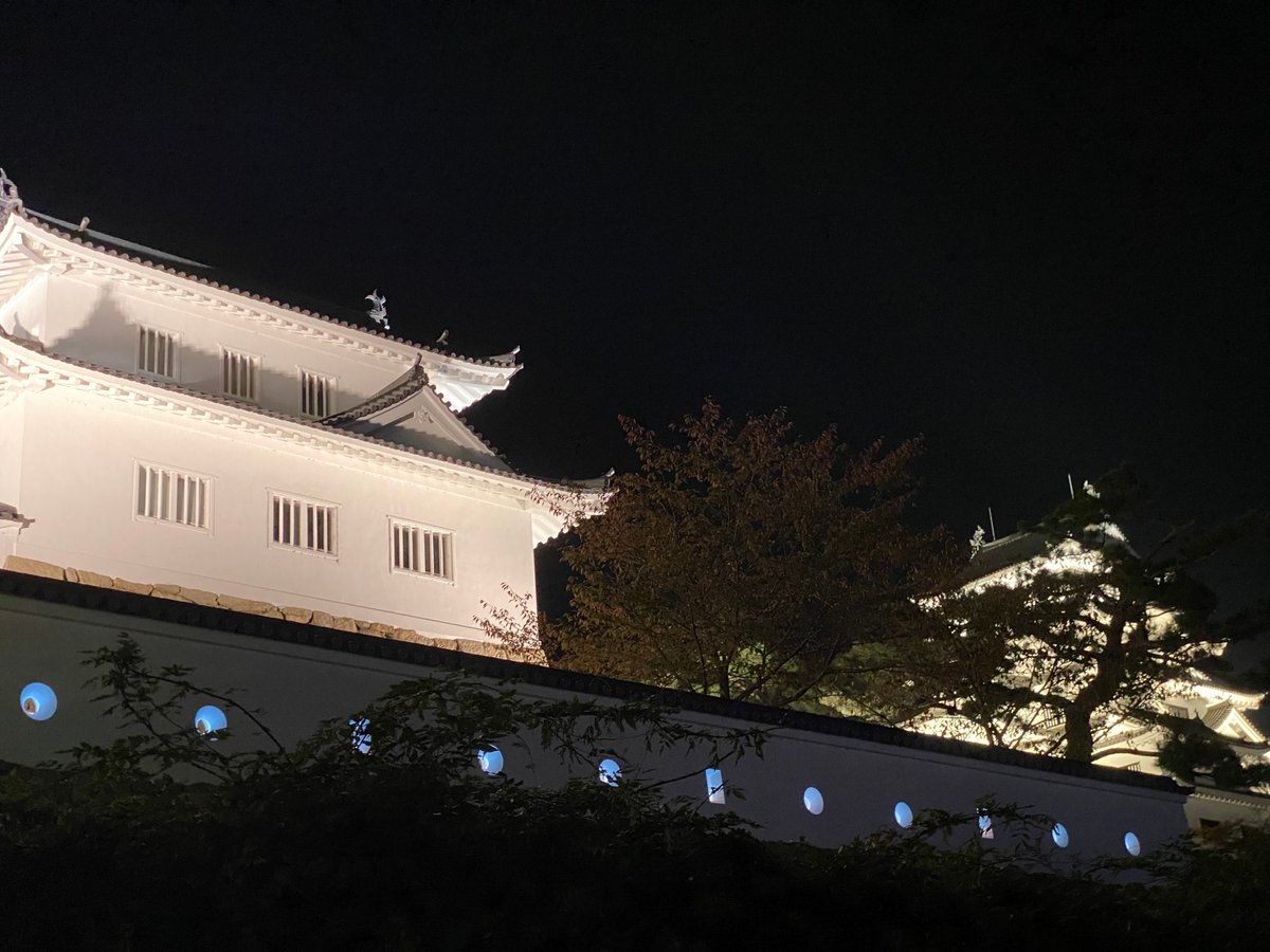 BichuBingoDenim's tweet image. 【福山城狭間もデニムカラーに！？】
デニム着用月間に併せて，福山城本丸・二之丸土塀の狭間をデニムカラー（藍色）にライトアップしています！ぜひご覧ください。
期間：２０２３年（令和５年）１１月１日（水）～１１月８日（水）
※日没から２４時まで

#福山はデニムの産地
#11月1日はいい藍の日