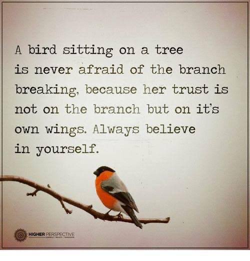 ✨Fly high, your trust lies in your wings, not the branches that may break. Believe in yourself, always!!!! 🤟
#BelieveInYourself #FlyWithTrust #WingsOfFaith #BranchesMayBreak #InnerStrength #UnwaveringBelief #SelfEmpowerment
#ThursdayThoughts