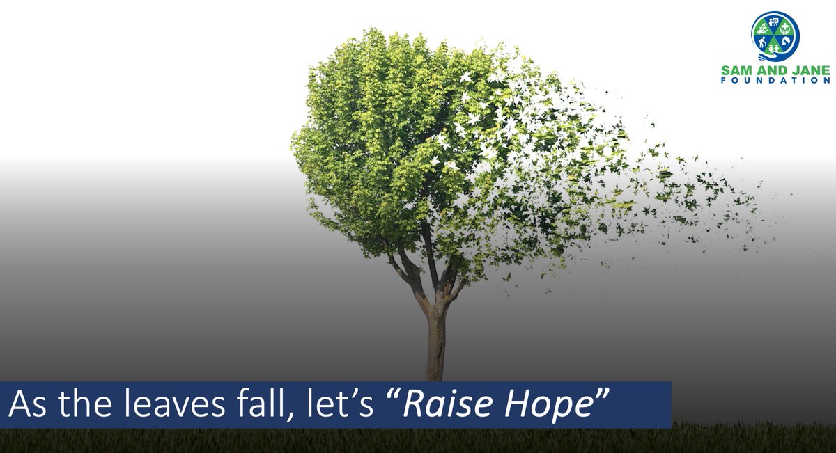 jane_foundation's tweet photo. As the leaves fall, let's raise hope with the Sam and Jane Foundation. Together, we can make this November a month of giving and compassion. 🍁💖Join us in our mission to bring positive change to the lives of those in need.
#SamAndJaneFoundation #NovemberGiving #spreadhope https://t.co/ZUXZ8onQ4P