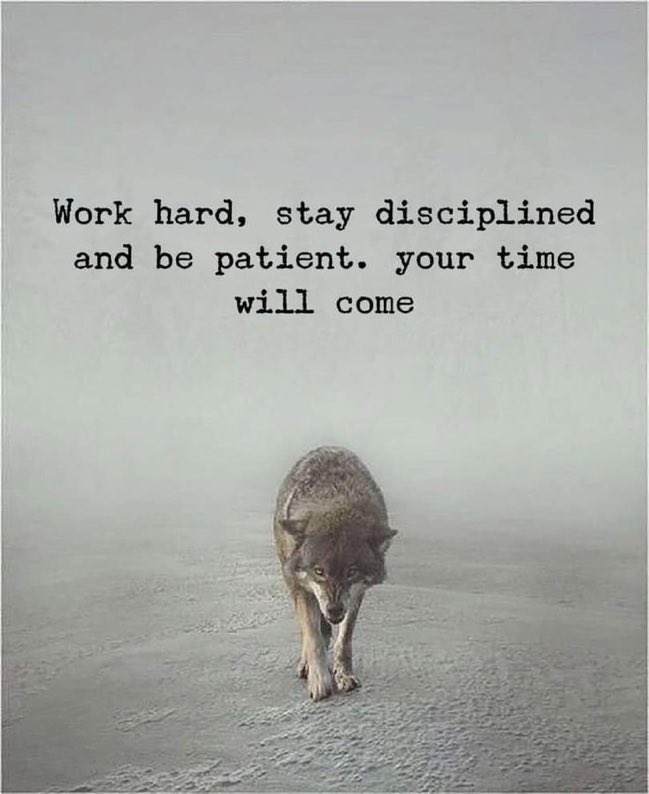 insprepositive's tweet image. Work hard, stay disciplined and be patient. Your time will come.