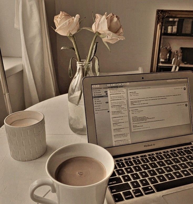 laine ʚɞ tweet media