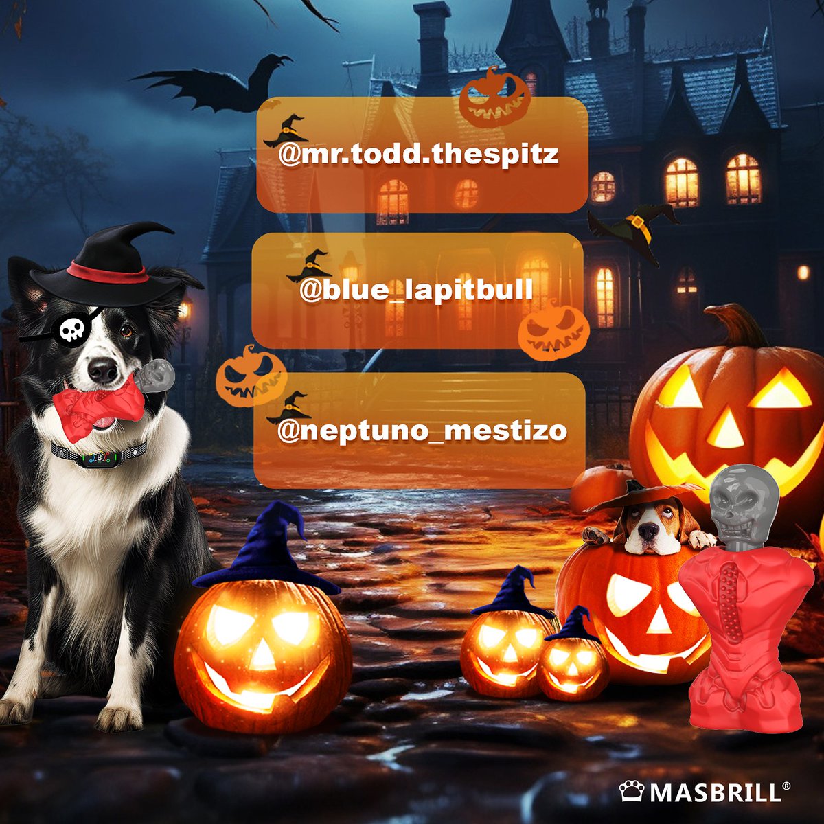 Happy Halloween!🎃🎃🎃🎃
Congratulations to these three friends on getting our Halloween treats!💐💐💐
masbrill.us
#dog #HalloweenGiveaway #WinPrizes #DogChewToy #MasbrillToy #HalloweenGifts #HalloweenFun #DogLovers #GiftsForPets #PetToys  #Masbrill #dogs